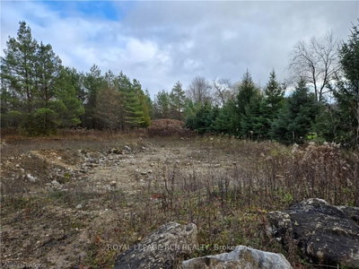 PTLT8ES SALTER Street • Chatsworth, ON photo 6