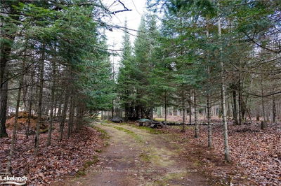 1538 BRAELOCH Rd, Algonquin Highlands -  image-0-1