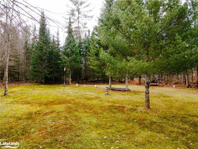 1538 BRAELOCH Rd, Algonquin Highlands -  image-0-2