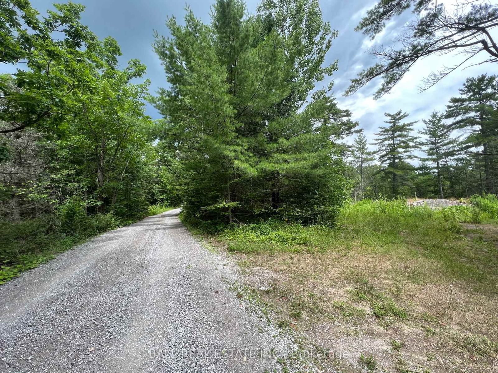 Vacant Land sold at 3 Fire Route 81, Galway-Cavendish and Harvey, Rural Galway-Cavendish and Harvey, K0L 1J0 - MLS: X11823288