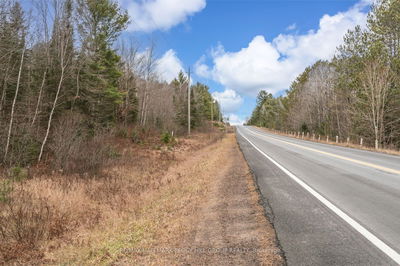  County Road 121, Minden Hills -  image-0-1