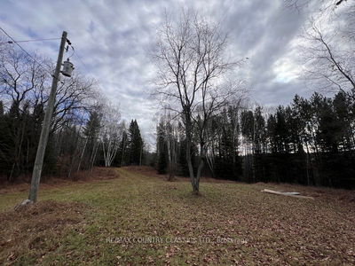 441 Quarry Rd, Bancroft -  image-0-2