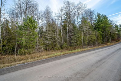 00 McCleary Rd, Marmora and Lake -  image-0-4