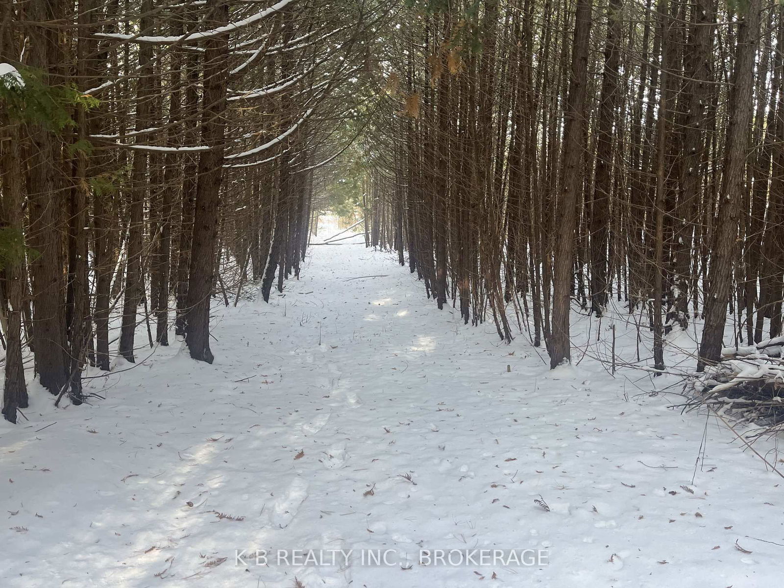 Vacant Land sold at 227 Grandview Drive, Alnwick/Haldimand, Rural Alnwick/Haldimand, K0K 2X0 - MLS: X11881440