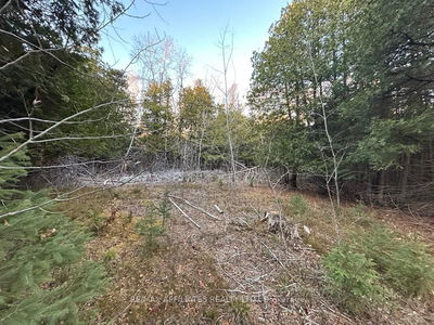 00 Snowdon Corners Rd, Merrickville-Wolford - 805 - Merrickville/Wolford Twp