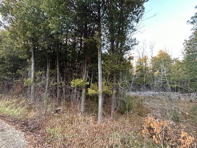 00 Snowdon Corners Rd, Merrickville-Wolford - Merrickville/Wolford Twp image-0-2