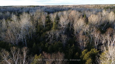 00 Snowdon Corners Rd, Merrickville-Wolford - Merrickville/Wolford Twp image-0-3