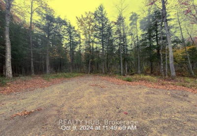 LOT 18 AXE LAKE Rd, McMurrich/Monteith -  image-0-4