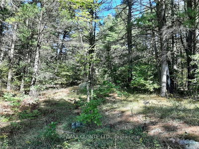  PT LT12 CON14 Hwy 37 Rd, Tweed - Hungerford (Twp) image-0-1