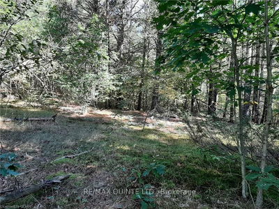  PT LT12 CON14 Hwy 37 Rd, Tweed - Hungerford (Twp) image-0-2