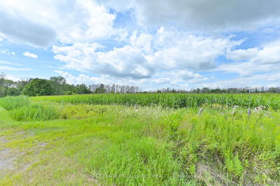  Hamilton Rd, Quinte West - 