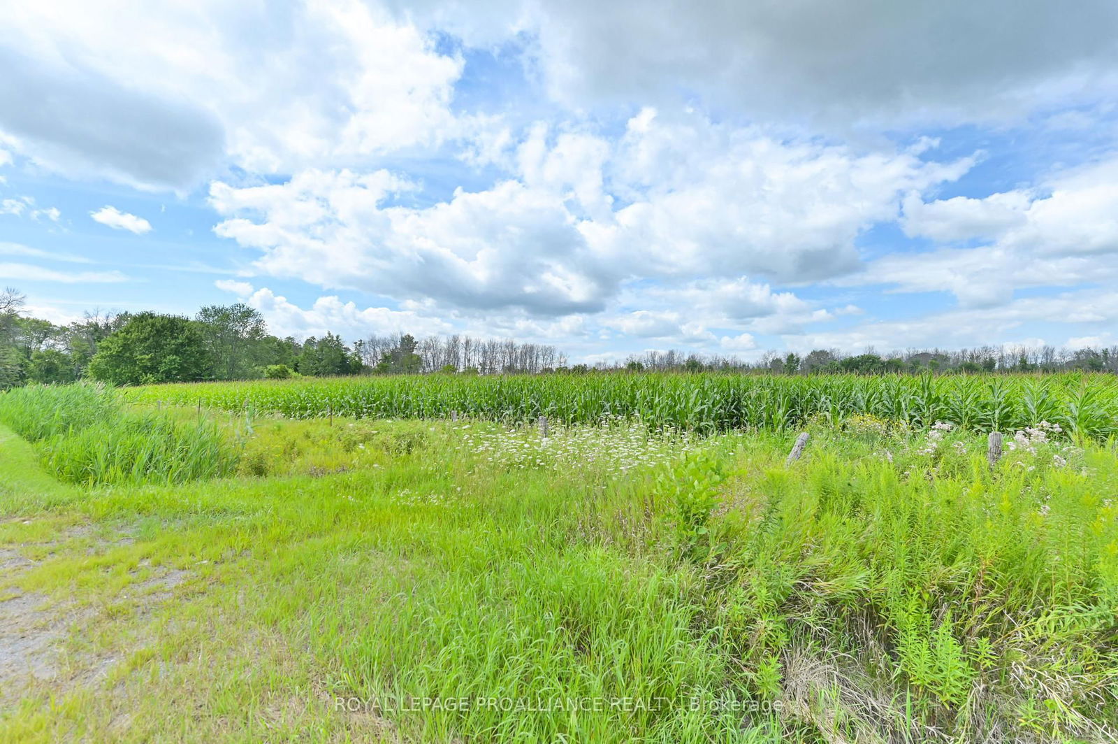 Vacant Land sold at 0 Hamilton Road, Trenton, K8V 5P8 - MLS: X11889466