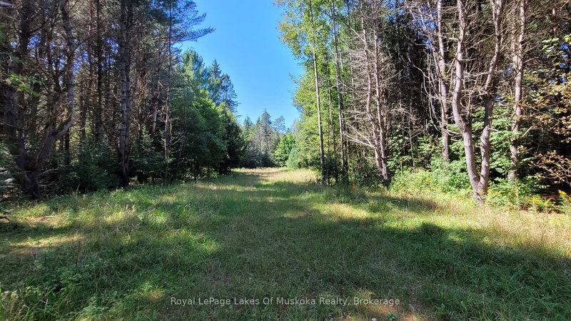 1059 Ablett Crt, Algonquin Highlands, K0M 1J0 | Image 2