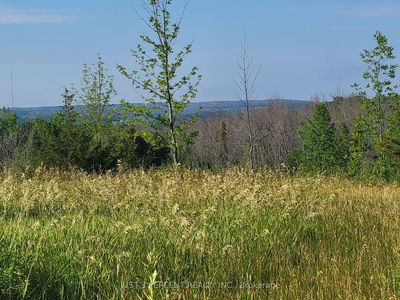  Curtis Point Rd, Alnwick/Haldimand - Rural Alnwick/Haldimand