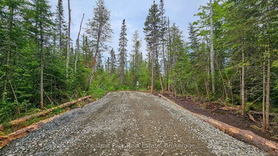 1022 THOMPSON Rd, Bracebridge - Oakley image-0-4