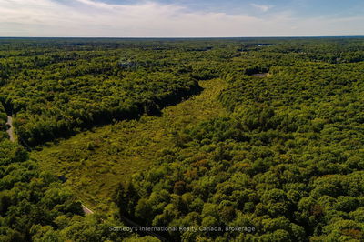  DUDLEY Rd, Muskoka Lakes - Medora image-0-1