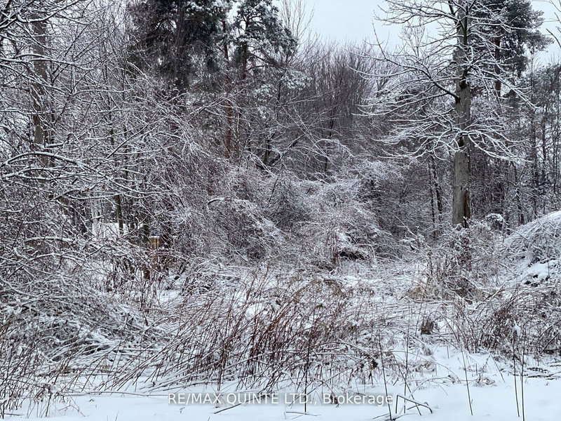 149 Evergreen Lane, Brighton, K0K 1H0 | Image 2