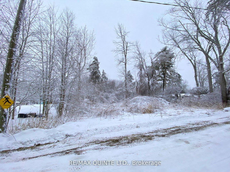 149 Evergreen Lane, Brighton, K0K 1H0 | Image 3