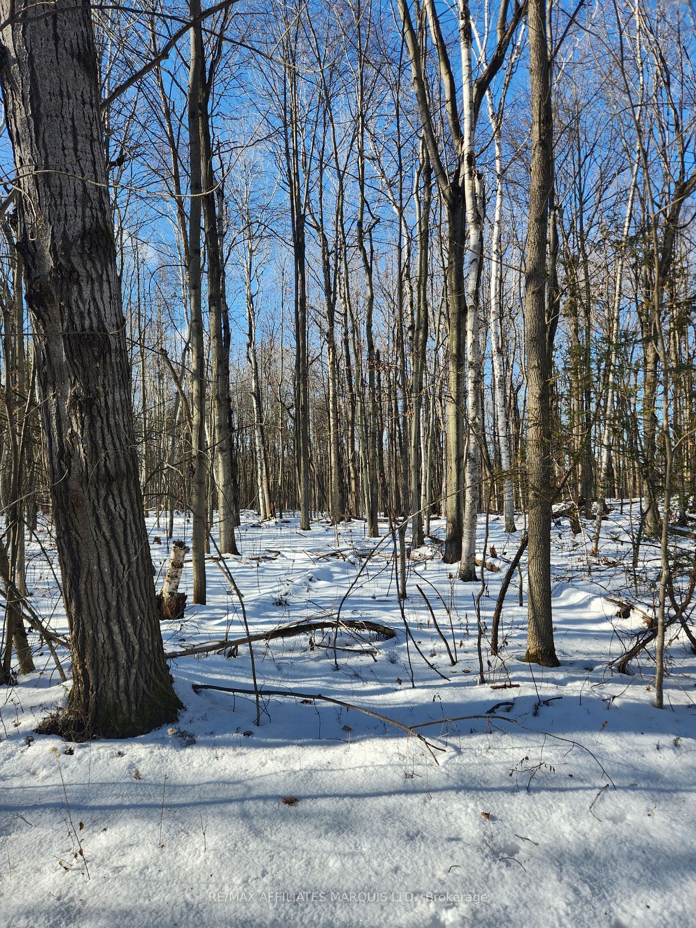 Building at LOT Cedar Sands Rdwy Way, Rideau Lakes, 817 - Rideau Lakes (South Crosby) Twp