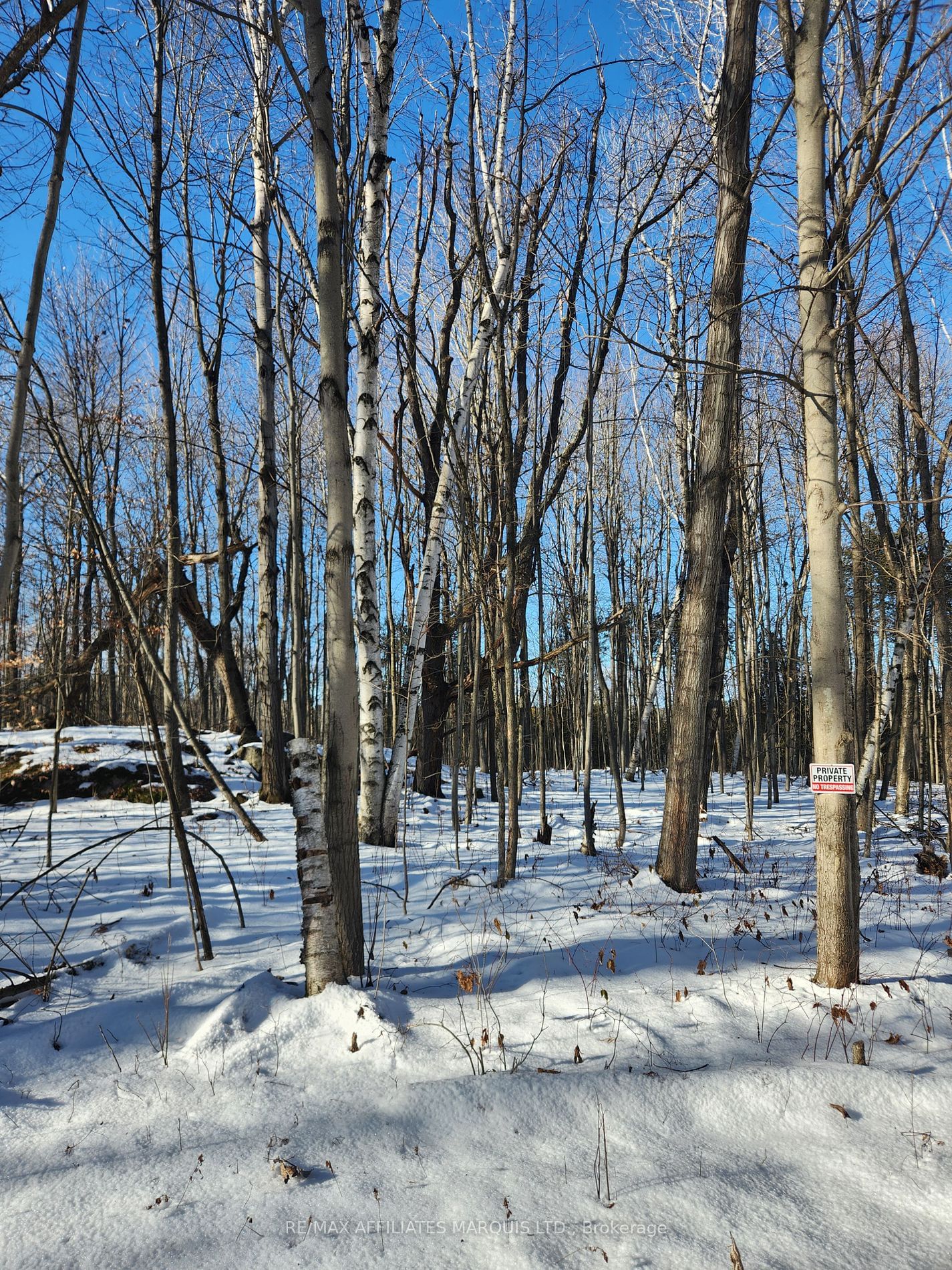 Vacant Land for sale at LOT Cedar Sands Rdwy Way, Rideau Lakes, 817 - Rideau Lakes (South Crosby) Twp, K0E 1N0 - MLS: X11892374