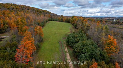 084482 6 Sdrd, Meaford - Rural Meaford image-0-4