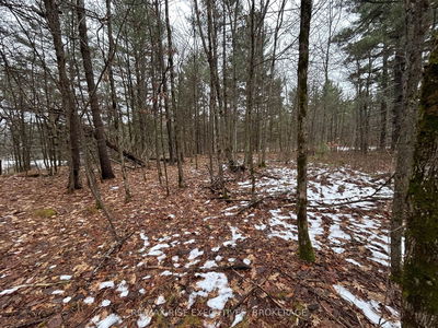 Lot 16 Echo Lake Rd, Central Frontenac -  image-0-4