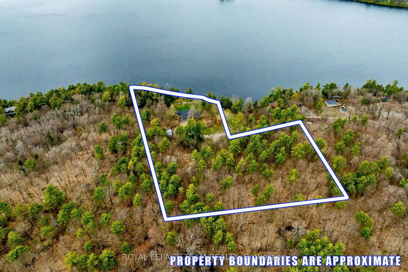 Listing Image 4