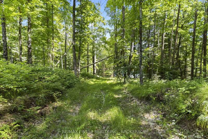 LOT 14 -15 0 Thunder Lane, Central Frontenac - Frontenac Centre image-0-0