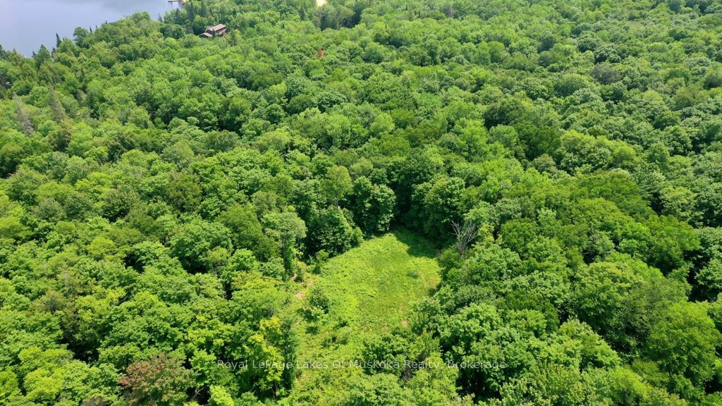 Vacant Land sold at 22 BUCKVALE Drive, McMurrich/Monteith, McMurrich, P0A 1Y0 - MLS: X11898154
