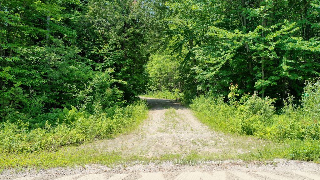 Vacant Land sold at 22 BUCKVALE Drive, McMurrich/Monteith, McMurrich, P0A 1Y0 - MLS: X11898154