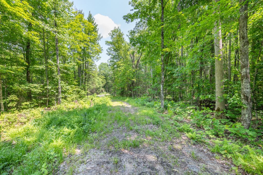 Vacant Land sold at 22 BUCKVALE Drive, McMurrich/Monteith, McMurrich, P0A 1Y0 - MLS: X11898154