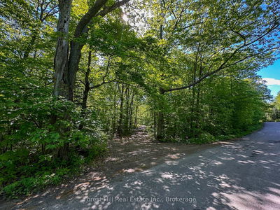 1066 South Muldrew Lake Rd, Gravenhurst -  image-0-1