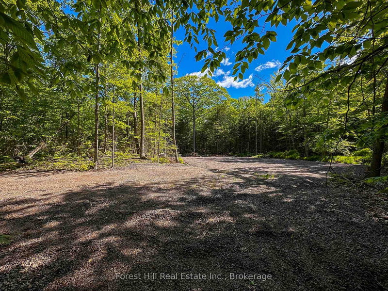 1066 South Muldrew Lake Rd, Gravenhurst, P0E 1G0 | Image 3