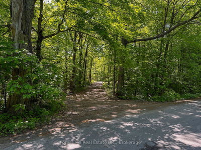 1066 South Muldrew Lake Rd, Gravenhurst -  image-0-2