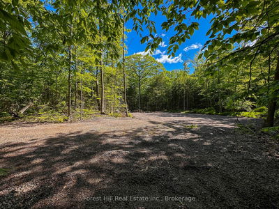 1066 South Muldrew Lake Rd, Gravenhurst -  image-0-4