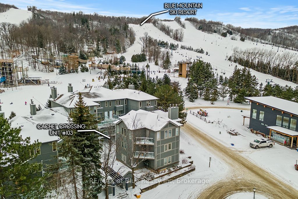 Condo for sale at 103-107 Ann Heggtveit Drive, Blue Mountains, Blue Mountain Resort Area, L9Y 0P7 - MLS: X11900841