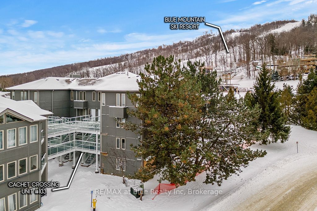 Condo for sale at 103-107 Ann Heggtveit Drive, Blue Mountains, Blue Mountain Resort Area, L9Y 0P7 - MLS: X11900841