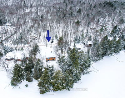 1058 Algonquin Outfitters Rd, Algonquin Highlands -  image-0-1