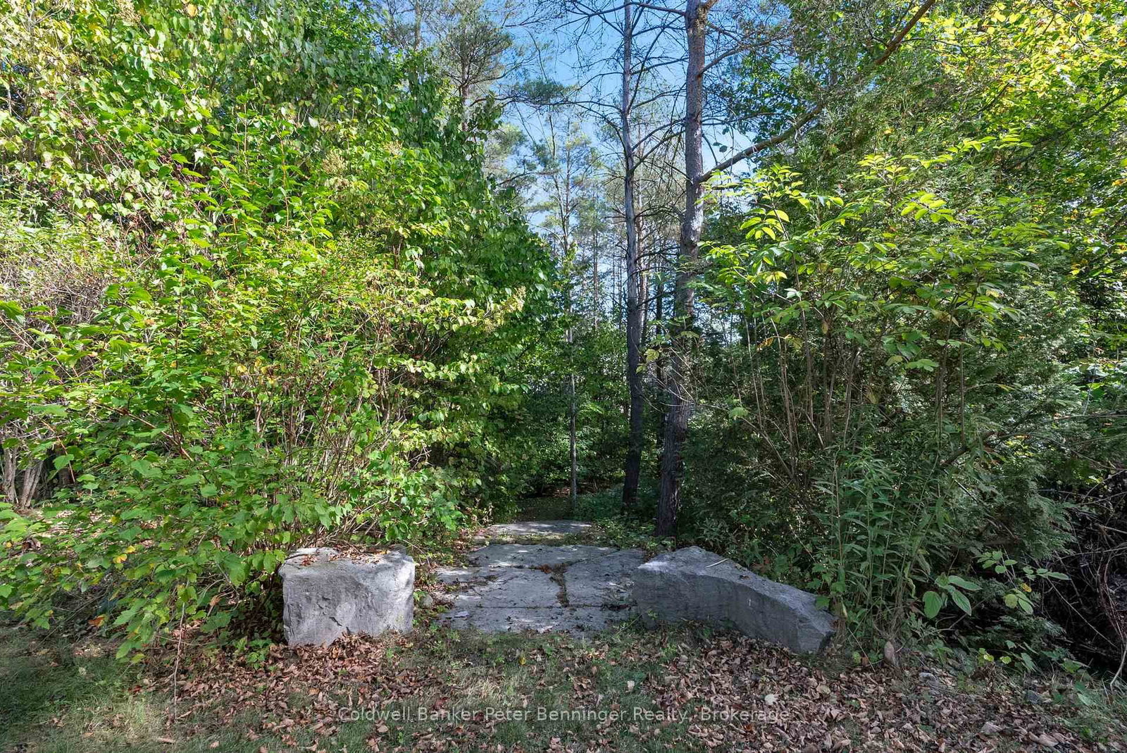 Listing Image 33