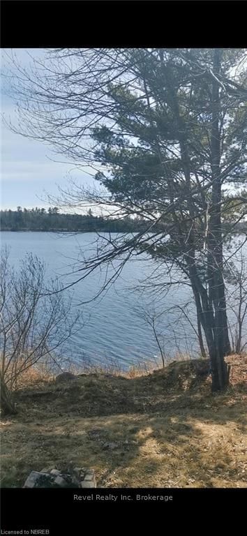 297 NICKEL LAKE SHORES Rd, Rainy River - 