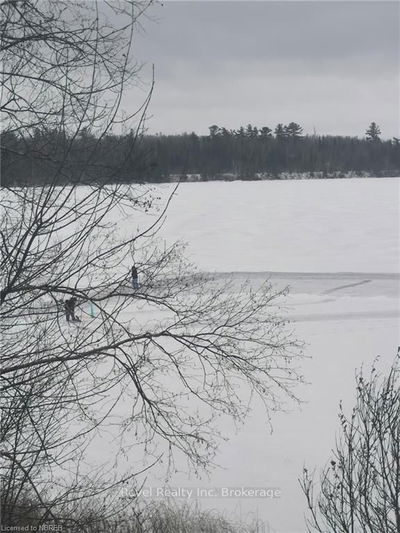 297 NICKEL LAKE SHORES Rd, Rainy River -  image-0-3