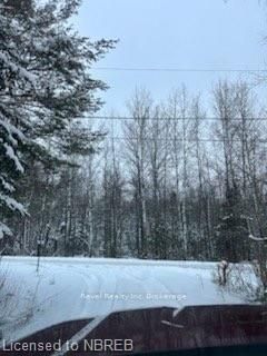 297 NICKEL LAKE SHORES Rd, Rainy River -  image-0-4
