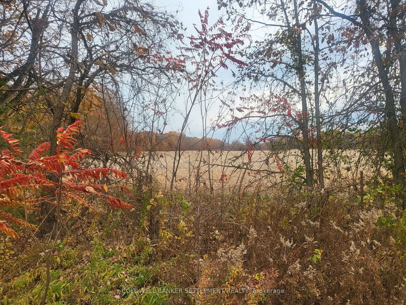 Lot 1 Bush Rd, Rideau Lakes - Rideau Lakes (South Crosby) Twp image-0-0