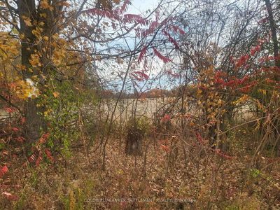 Lot 1 Bush Rd, Rideau Lakes - Rideau Lakes (South Crosby) Twp image-0-1