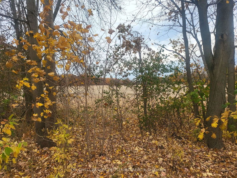 Lot 2 Bush Rd, Rideau Lakes - Rideau Lakes (South Crosby) Twp image-0-0