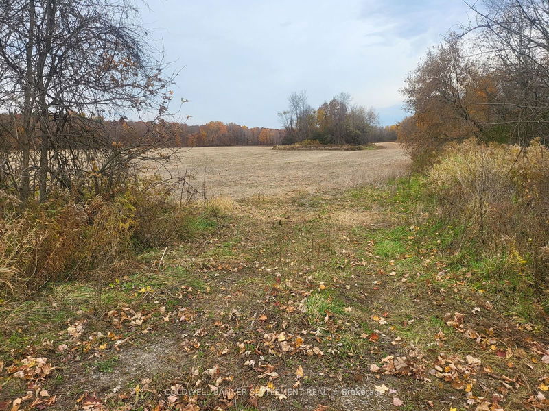 Lot 3 BUSH Rd, Rideau Lakes - Rideau Lakes (South Crosby) Twp image-0-0