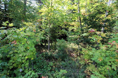 00 Lovers Lane, Parry Sound, Unorganized District - Port Loring image-0-3