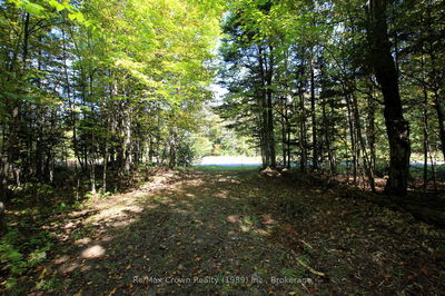 00 Lovers Lane, Parry Sound, Unorganized District - Port Loring image-0-4