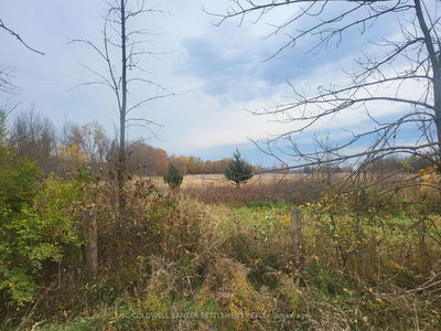 Lot 5 BUSH Rd, Rideau Lakes - Rideau Lakes (South Crosby) Twp image-0-1