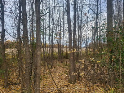 Lot 5 BUSH Rd, Rideau Lakes - Rideau Lakes (South Crosby) Twp image-0-2